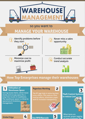 Warehouse Management Infographics
