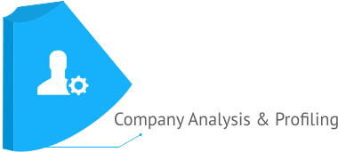 Company Analysis and Profiling with Data Science